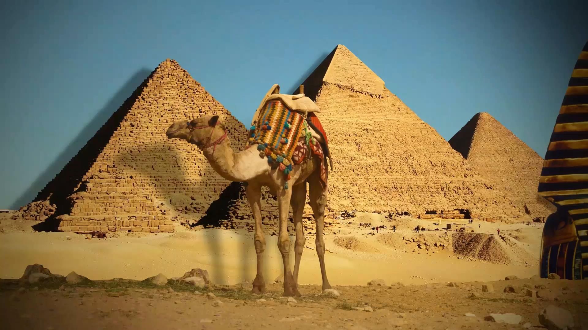 Забальзамовані тварини та прикраси фараонів: чим зачаровують музеї Єгипту
Забальзамовані тварини та прикраси фараонів: чим зачаровують музеї Єгипту