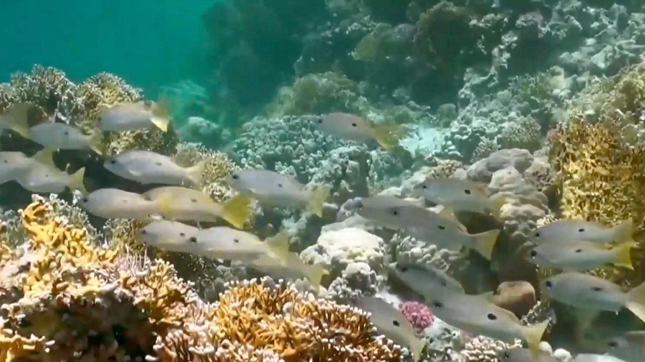 Що пропонує Єгипет найвибагливішому туристу
Що пропонує Єгипет найвибагливішому туристу