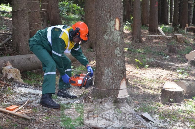 Настоящие украинские мужчины показали себя в конкурсе лесорубов Настоящие украинские мужчины показали себя в конкурсе лесорубов