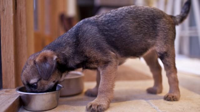 Росія ввела проти України нові надумані санкції Росія ввела проти України нові надумані санкції