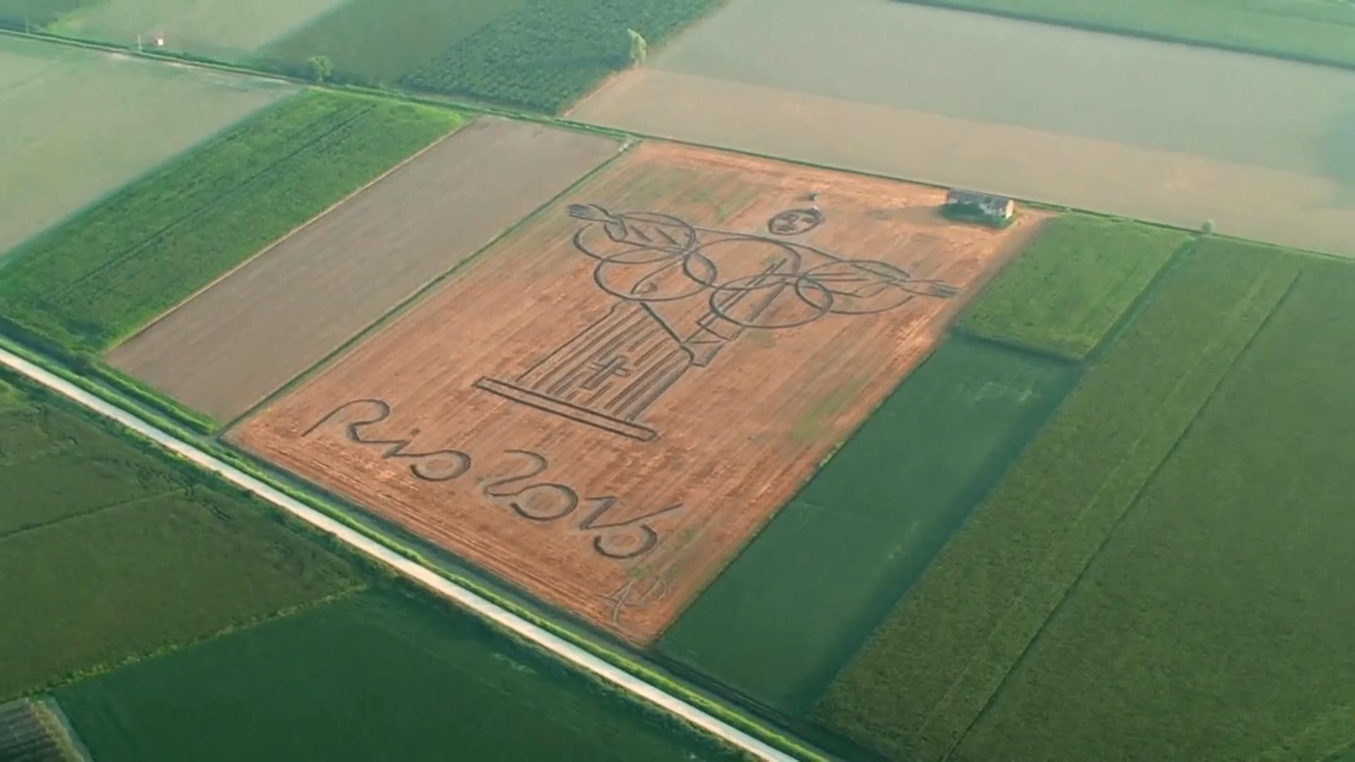 Італійський фермер вразив світ неймовірним зображенням на полі з нагоди Олімпіади