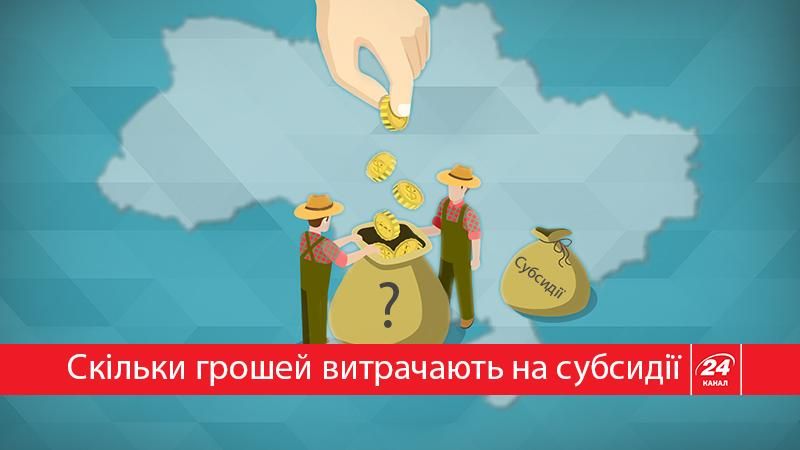 Сколько украинцев получают субсидии: интересная статистика