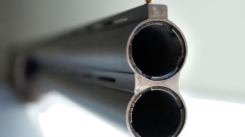 Поліцейський вистрілив у свого колегу на Закарпатті Поліцейський вистрілив у свого колегу на Закарпатті