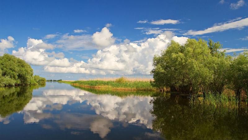 Чем поражает уникальное природное чудо на территории Украины – Дунайские плавни