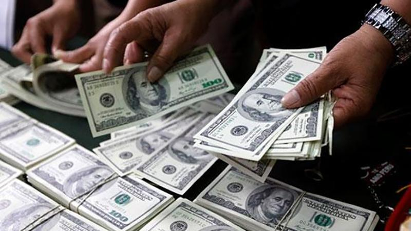 Чиновница Минагрополитики погорела на взятке в 150 тысяч долларов