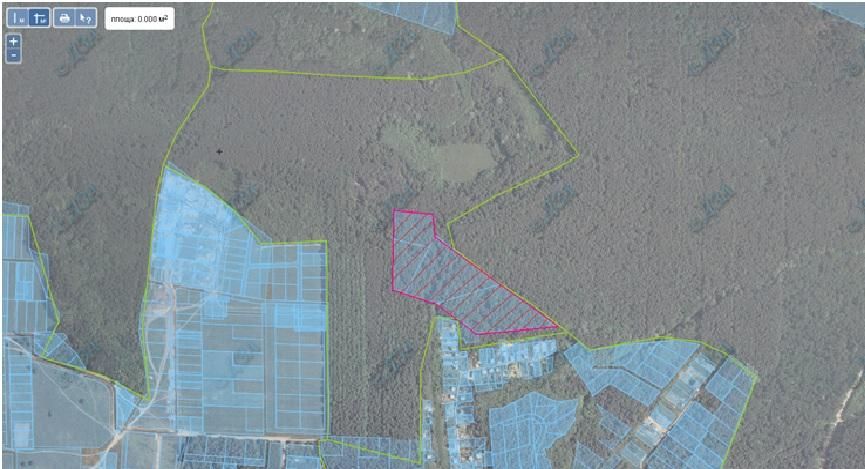 Должностных лиц в Киевской области поймали на дерибане леса Должностных лиц в Киевской области поймали на дерибане леса