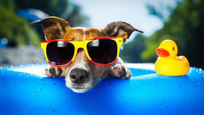 Украинцев ждут аномально жаркие выходные Украинцев ждут аномально жаркие выходные