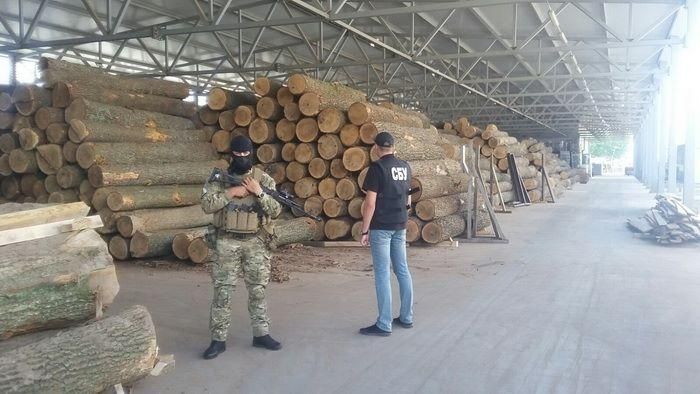 Незаконную вырубку леса на миллионы гривен обнаружили на Винничине Незаконную вырубку леса на миллионы гривен обнаружили на Винничине