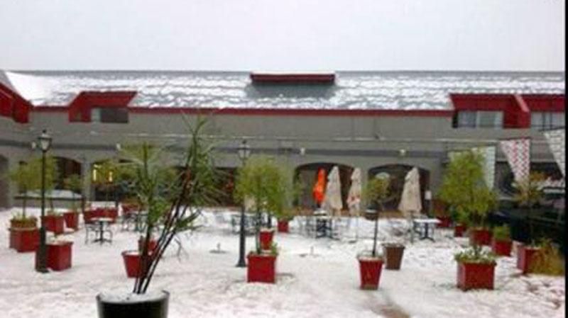 Потужний снігопад у Африці: є жертви
Потужний снігопад у Африці: є жертви