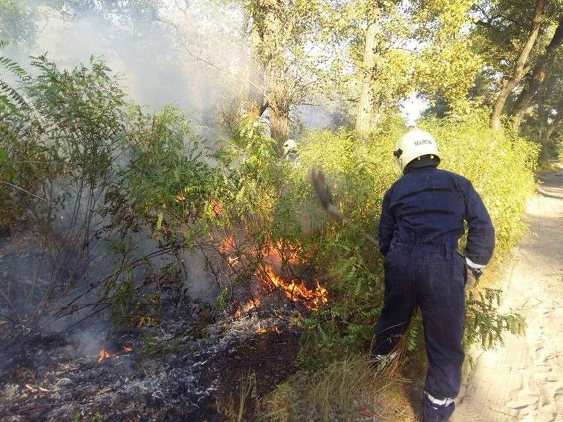 В Киеве горит Труханов остров