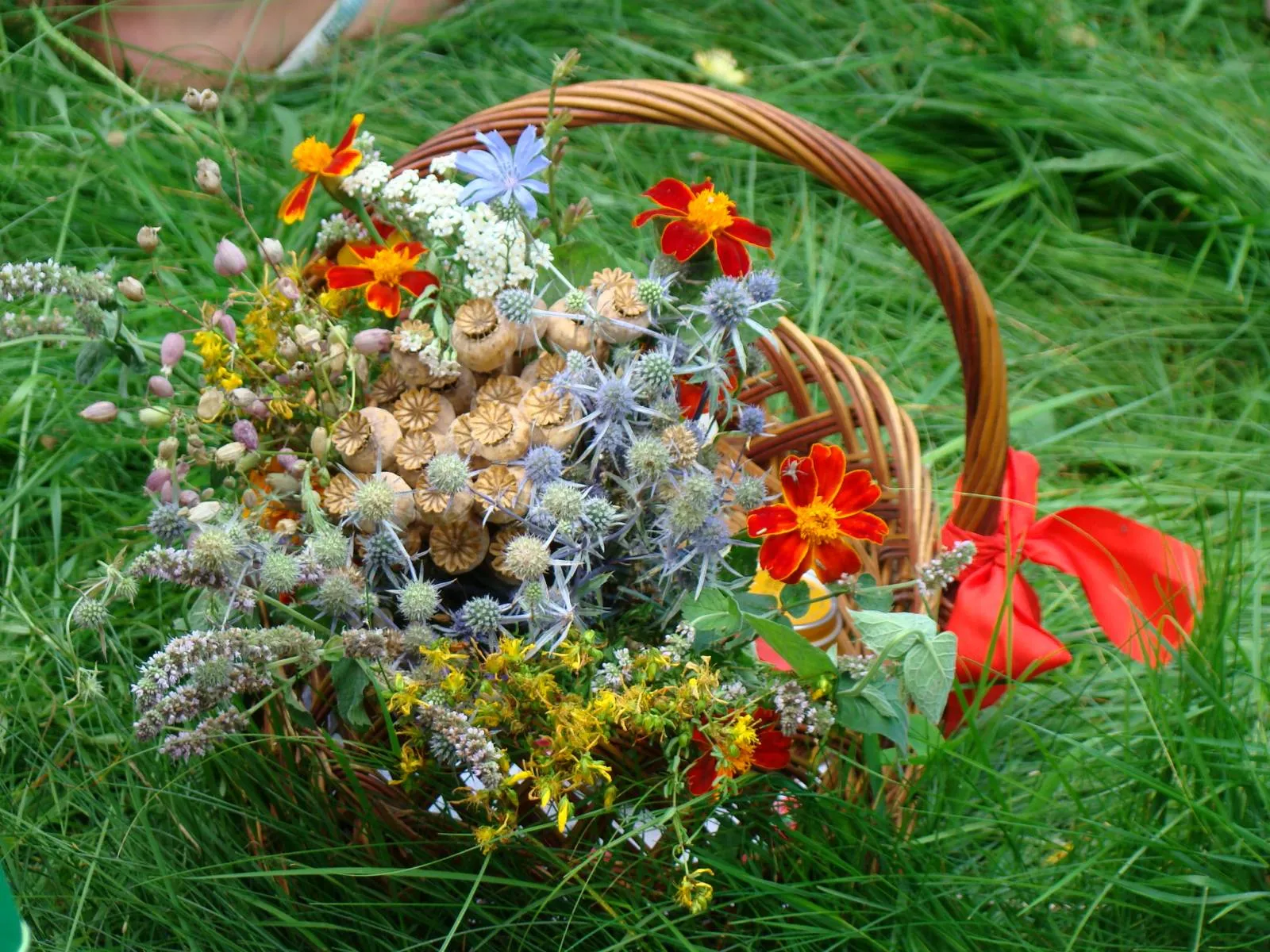 Медовий Спас або Маковея: історія свята та прикмети Медовий Спас або Маковея: історія свята та прикмети