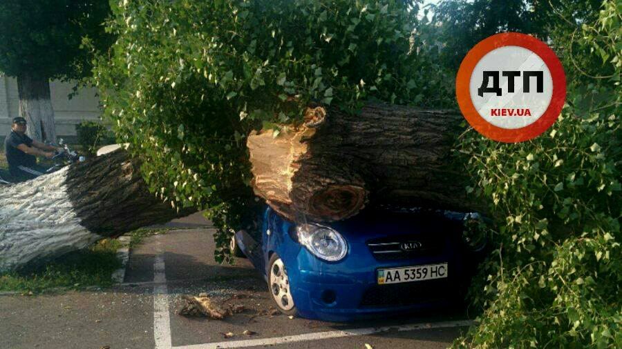 Толстенное дерево раздавило автомобиль в Киеве