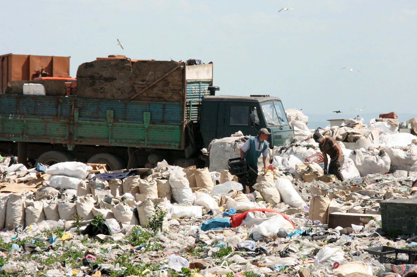 Начальника Грибовичской свалки могут посадить за решетку Начальника Грибовичской свалки могут посадить за решетку