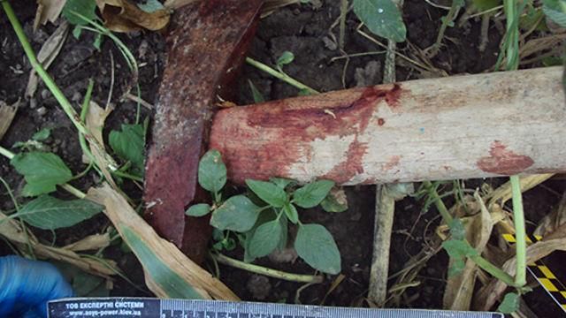 Кровавый фильм ужаса: Гости хладнокровно перерубили хозяев на Хмельнитчине Кровавый фильм ужаса: Гости хладнокровно перерубили хозяев на Хмельнитчине