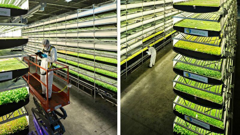 Революція у фермерстві: американці показали новий метод вирощування овочів Революція у фермерстві: американці показали новий метод вирощування овочів