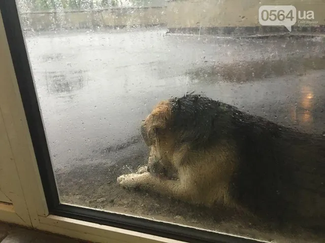 Кривий Ріг, злива Кривий Ріг, злива