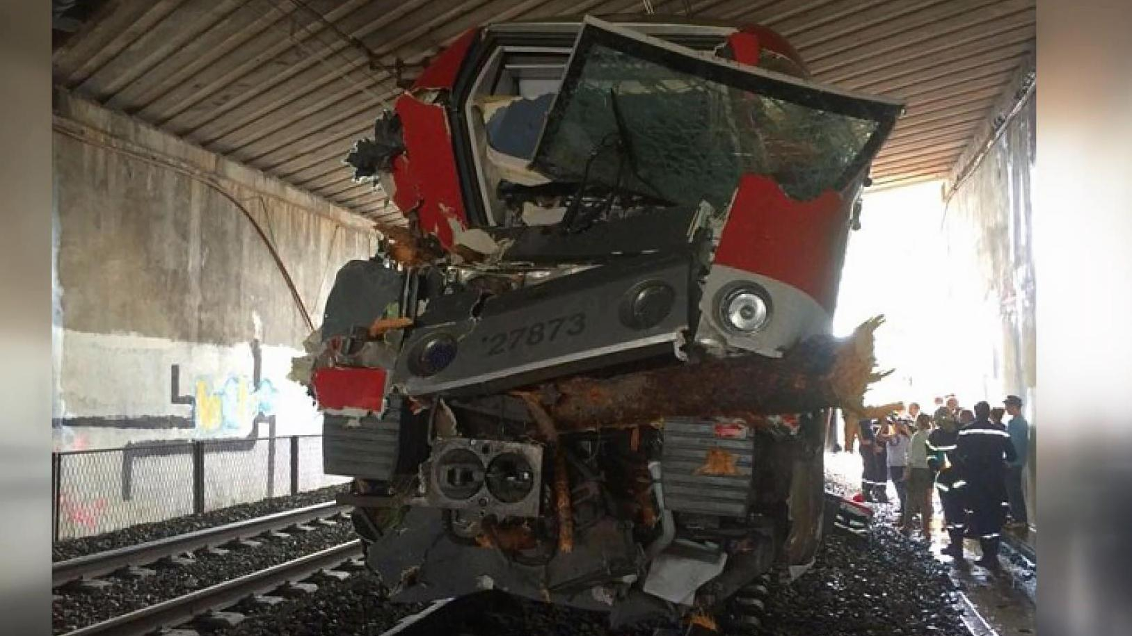 Дерево стало причиной страшной железнодорожной аварии во Франции