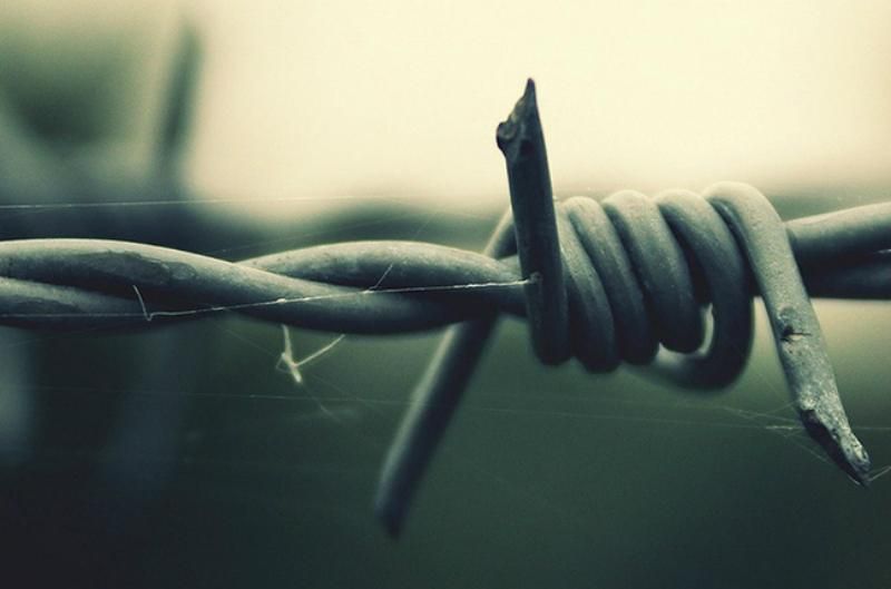 Вражаючі цифри: скільки людей загинуло в сирійських в'язницях Вражаючі цифри: скільки людей загинуло в сирійських в'язницях