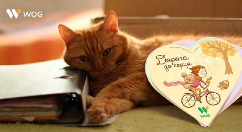 WOG дякує за небайдужість WOG дякує за небайдужість