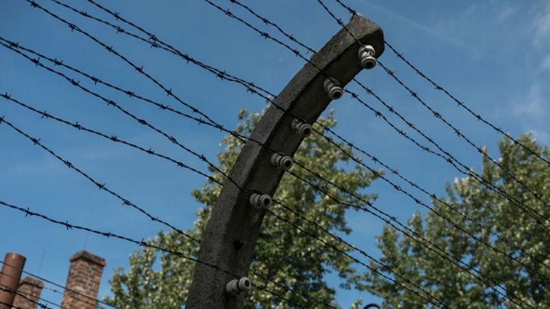 Бывшие узники рассказали о зверских пытках в тюрьмах Сирии Бывшие узники рассказали о зверских пытках в тюрьмах Сирии