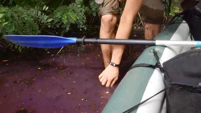 Отруйна річка-хамелеон налякала киян Отруйна річка-хамелеон налякала киян