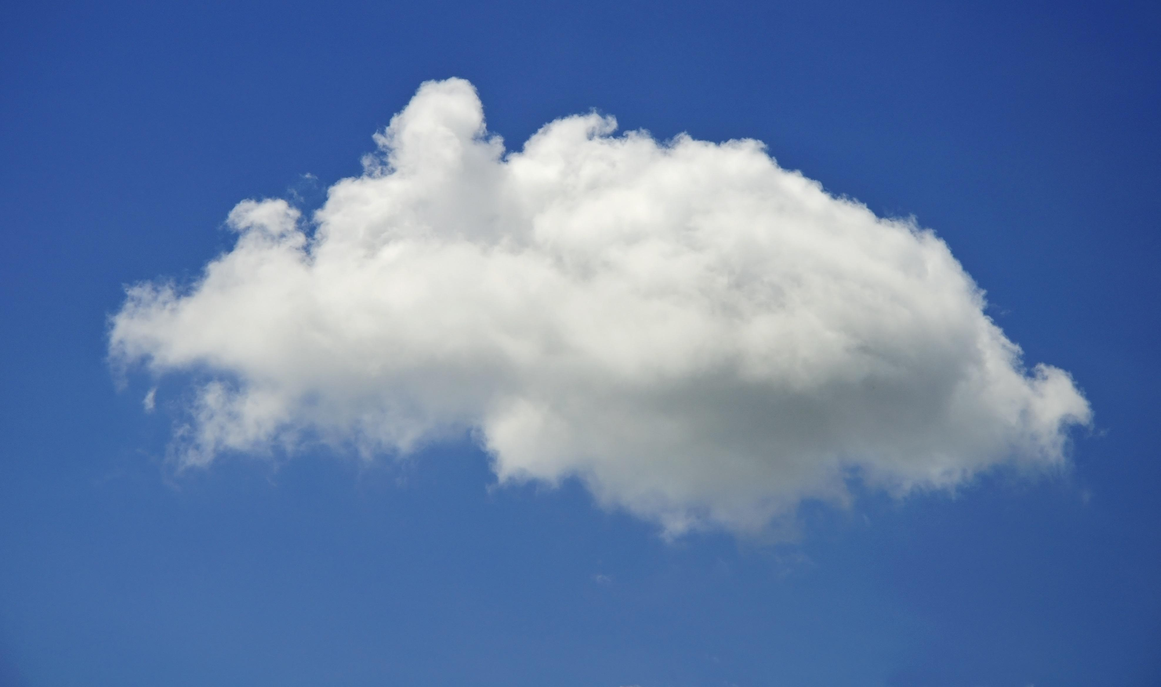 Грозы и жара: с какой погоды начнется рабочая неделя