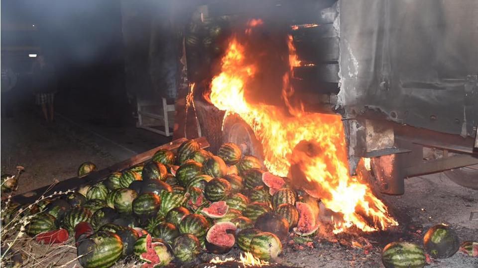 Арбузами тушили пожар в Херсонской области: появились фото