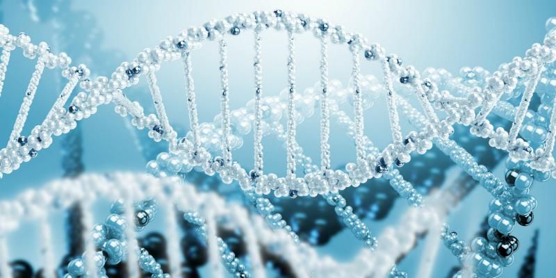 Вчені зробили вражаюче відкриття прихованих особливостей ДНК
