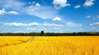 Украина стала нашим воздухом, – известные украинцы поздравили с Днем Независимости