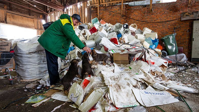 Коммунальщики нашли на свалке полмиллиона евро Коммунальщики нашли на свалке полмиллиона евро