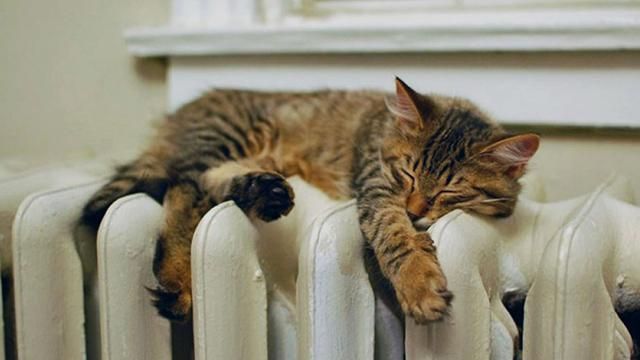 Демчишин запевнив, що взимку українцям буде тепло Демчишин запевнив, що взимку українцям буде тепло