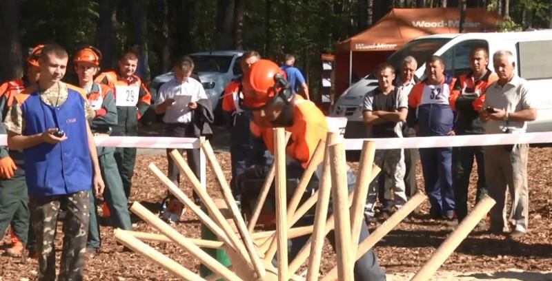 В Украине прошел масштабный конкурс лесорубов В Украине прошел масштабный конкурс лесорубов