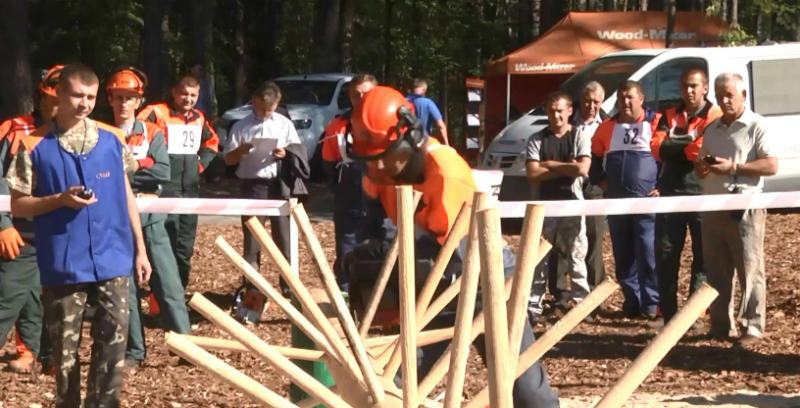 В Украине прошел масштабный конкурс лесорубов
