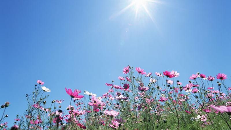 Раз на сто років: мережу вразила рідкісна погодна карта України Раз на сто років: мережу вразила рідкісна погодна карта України