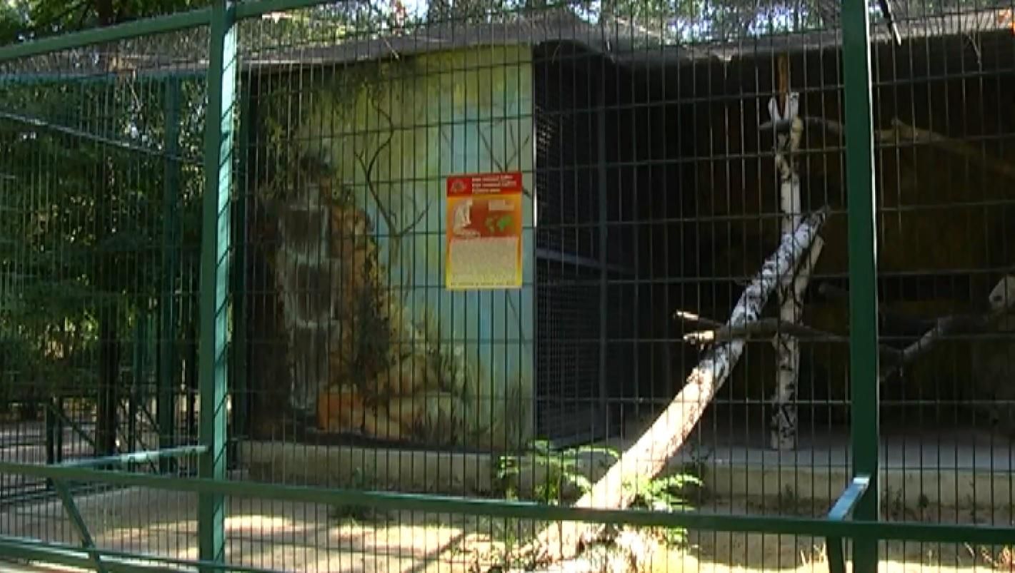 У Миколаївському зоопарку масово гинуть тварини