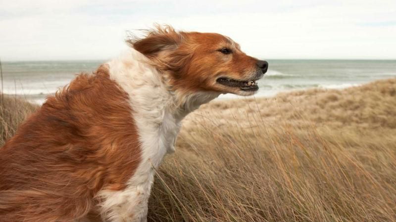 Вместе с летом Украину покидает тепло Вместе с летом Украину покидает тепло