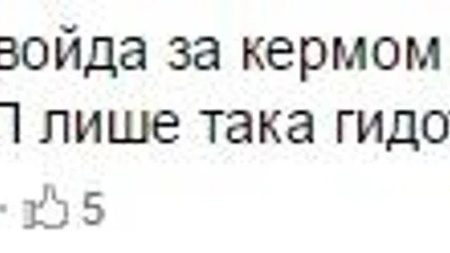 Аліна Сімова-Хлань, Миколаїв, скандал Аліна Сімова-Хлань, Миколаїв, скандал
