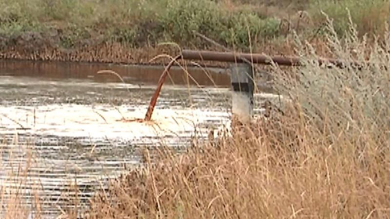 Люди не можуть вийти на вулицю через нестерпний сморід Люди не можуть вийти на вулицю через нестерпний сморід