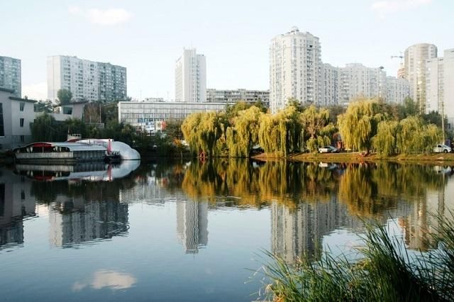 Невідомі розстріляли білок у київському парку