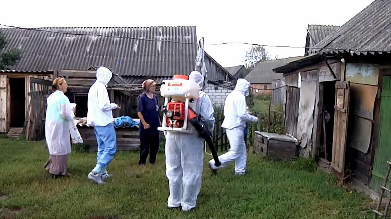 Африканская чума уже добралась до Волыни Африканская чума уже добралась до Волыни