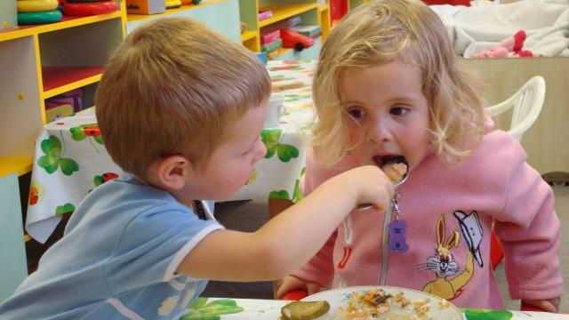 Опасные для здоровья продукты поставляли в 62 детских сада Киева