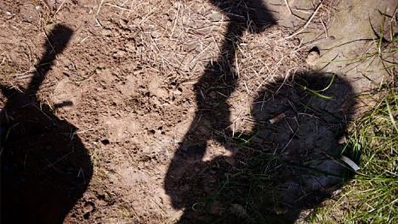 Над памятником "Борцам за волю Украины" поиздевались под Львовом Над памятником "Борцам за волю Украины" поиздевались под Львовом