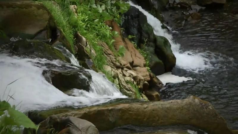 Мертве озеро – містична історія таємничої водойми Мертве озеро – містична історія таємничої водойми