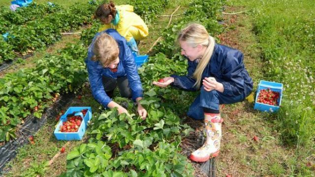 Польща серйозно збільшила кількість робочих місць для українців 