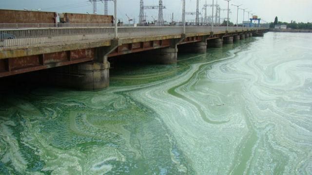 Над Днепром нависла экологическая катастрофа – река может стать болотом Над Днепром нависла экологическая катастрофа – река может стать болотом