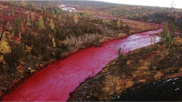 В Росії річка стала кольору крові