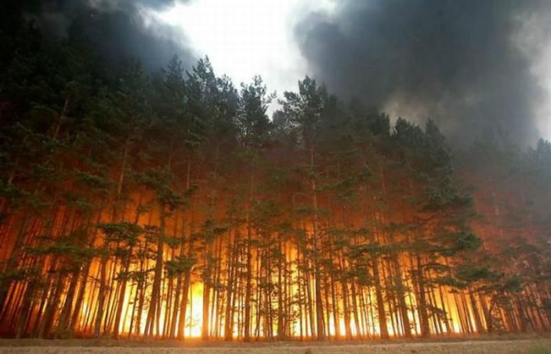 Минулої доби в Україні зафіксували майже 500 пожеж