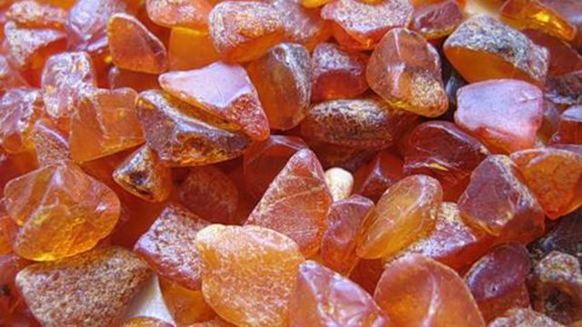 За добычу 2,5 тонн янтаря суд приговорил смехотворный штраф За добычу 2,5 тонн янтаря суд приговорил смехотворный штраф