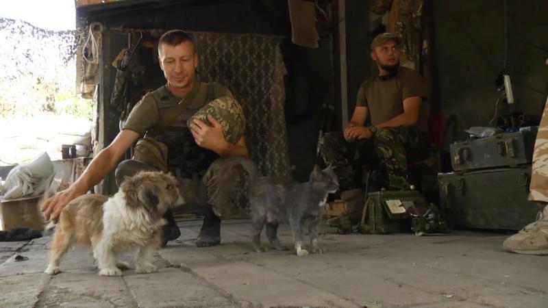 Правительство изменило условия получения статуса участника боевых действий