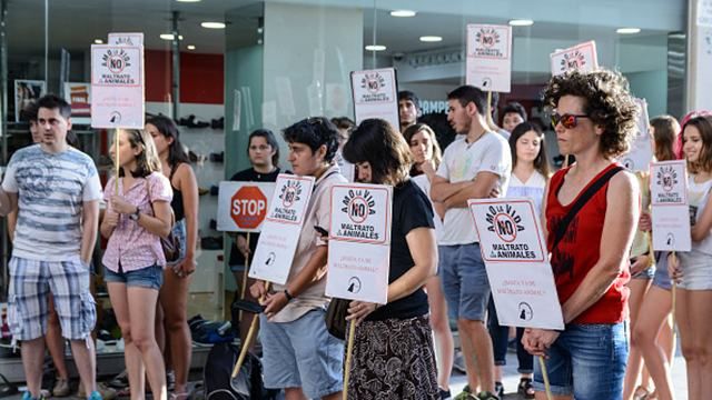 Тысячи людей хотят запретить корриду в Испании Тысячи людей хотят запретить корриду в Испании